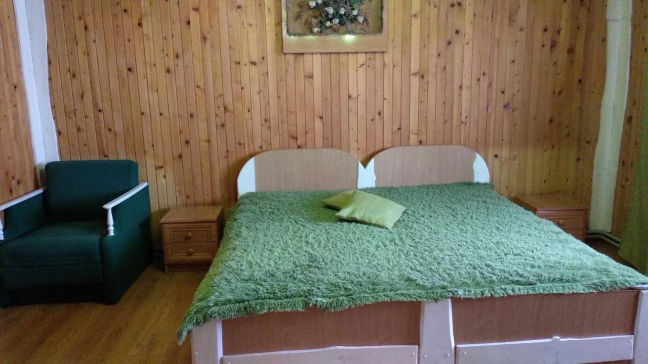 Kray Dorogy Villa Jaremcse Kültér fotó